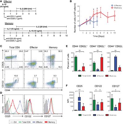 Differentiation of Memory CD8 T Cells Unravel Gene Expression Pattern Common to Effector and Memory Precursors